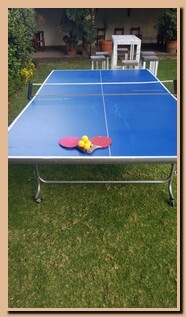 Renta de Mesas de Ping Pong